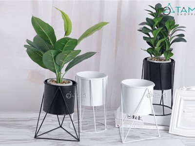 Chậu trồng cây cảnh trong nhà bằng sắt số 12